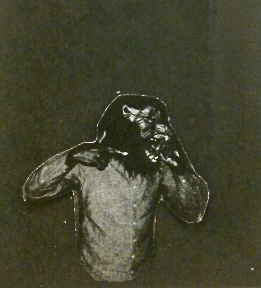 The Koreatown Oddity - No Health Insurance